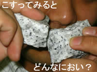 違いを見る
